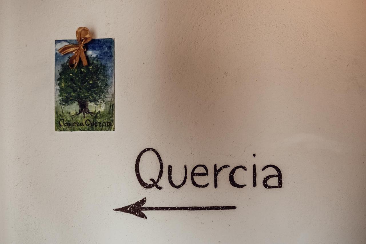 B&B Casatorre Saludecio Экстерьер фото